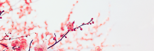 Noeliata99's profile banner image