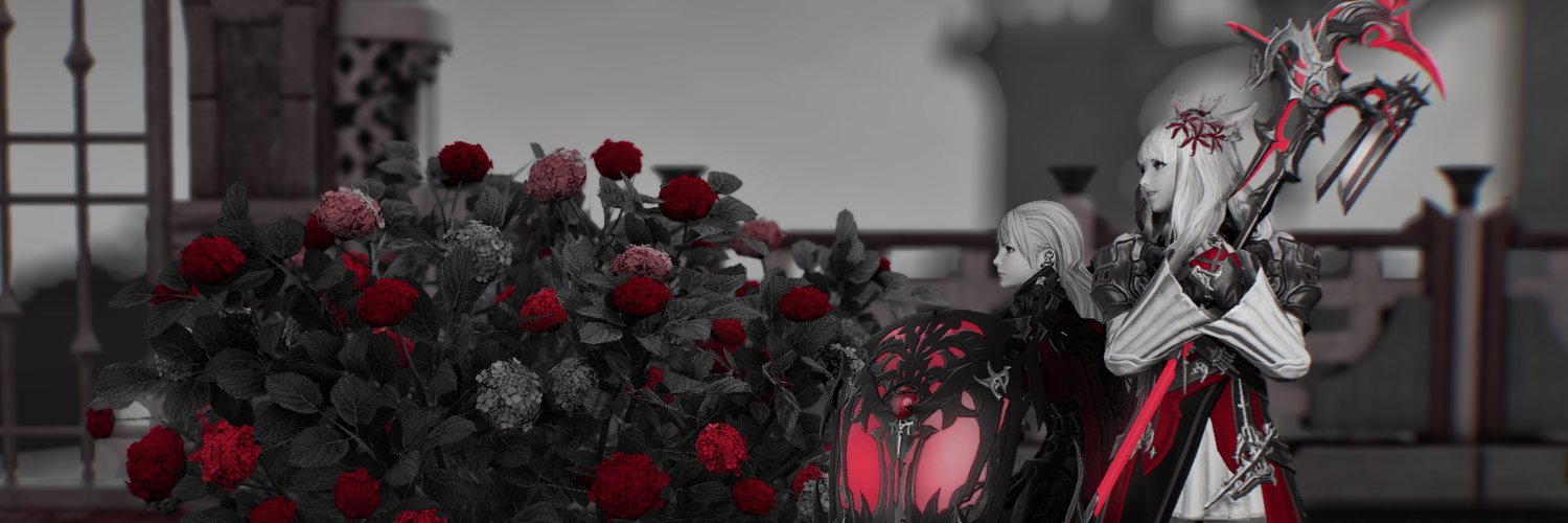 st0ry_teller's profile banner image