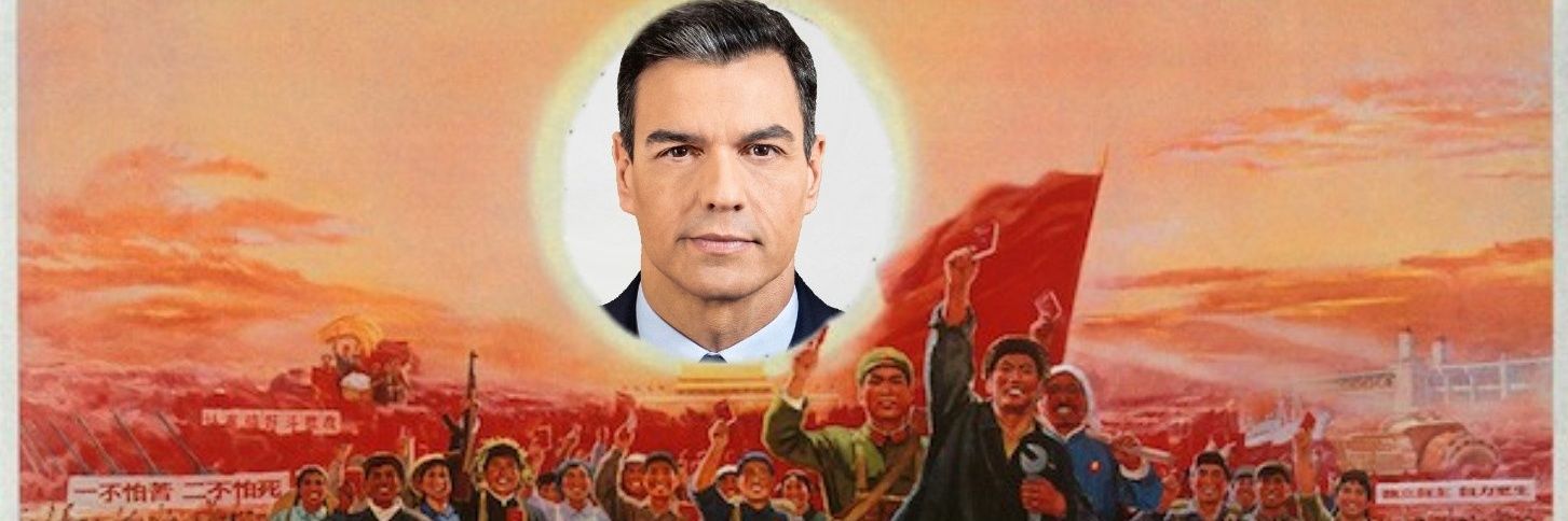 Postigazo's profile banner image