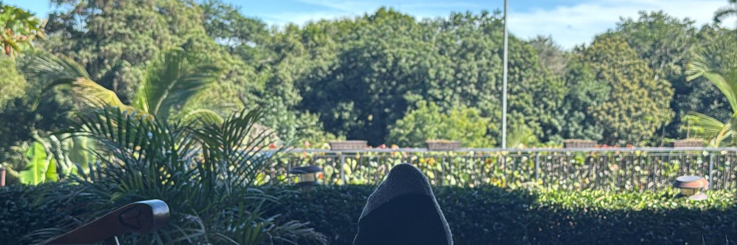 Manny Gómez 🇩🇴 banner