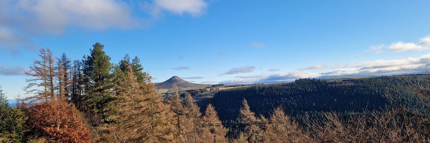 Pádraig Ó Beaglaoich banner