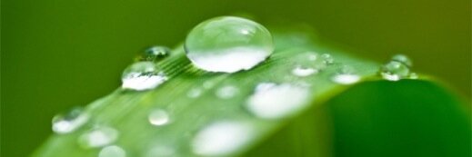 ResilienceInYou's profile banner image