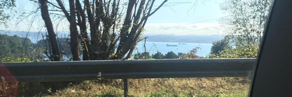anaserr3's profile banner image