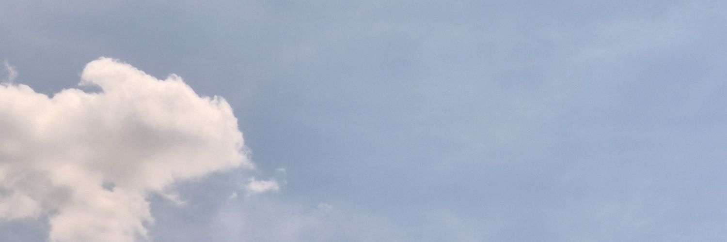 tigertan3's profile banner image