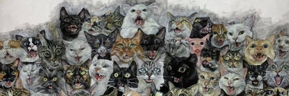 AmandaLT44's profile banner image