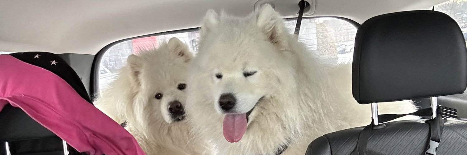 CynPhillyYours's profile banner image