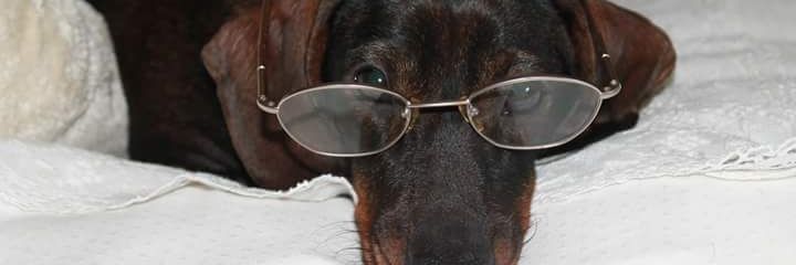 LauradeAndres_'s profile banner image