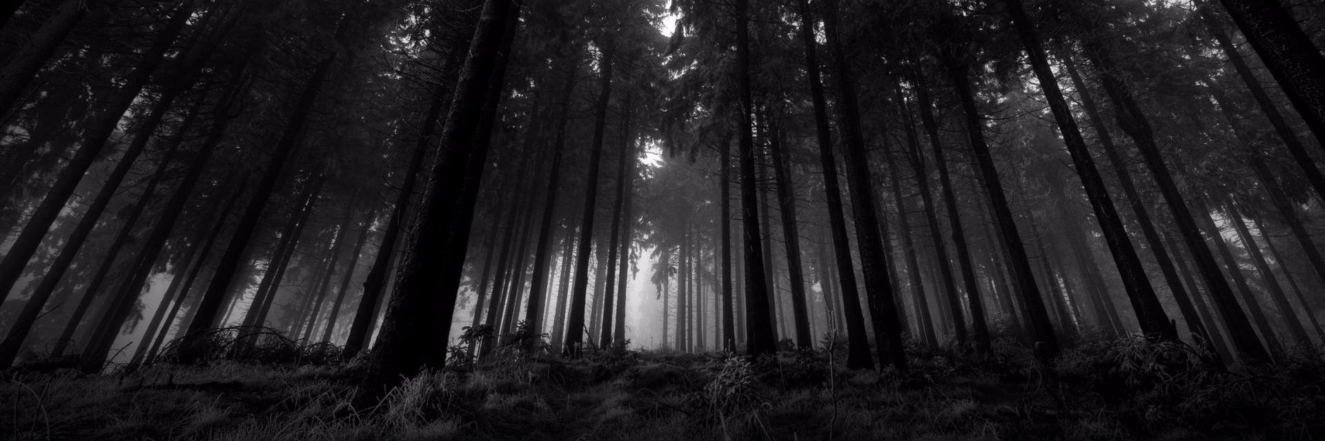 FalkonetCZ's profile banner image