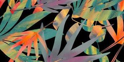 willigham's profile banner image