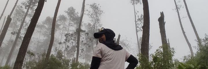 dissywh's profile banner image