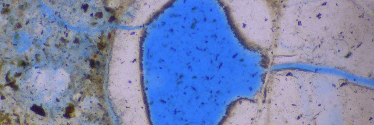 PetrographyGeek's profile banner image