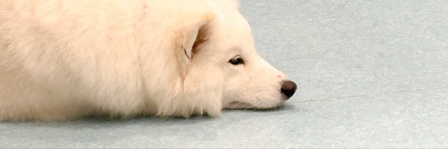 omoyu_'s profile banner image