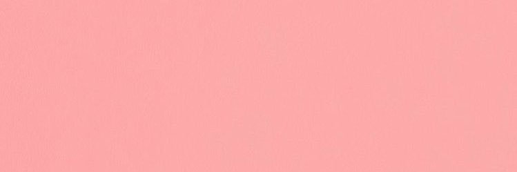 caesaputri's profile banner image