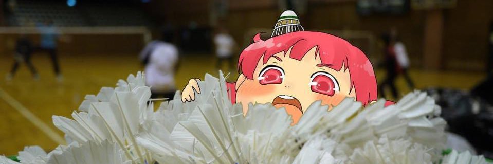 minton_ulis's profile banner image