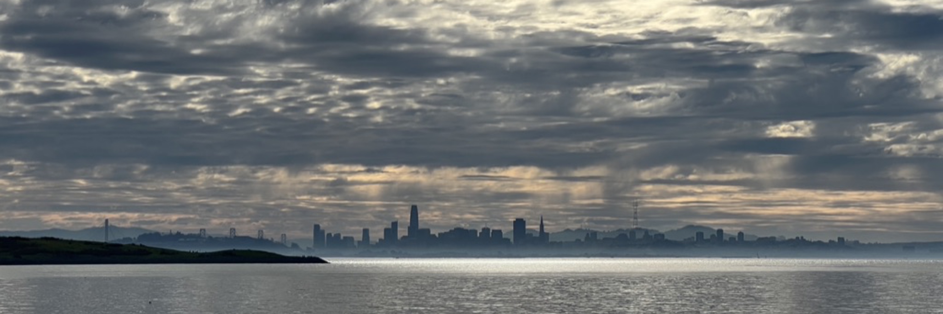 Andrii Petrenko banner