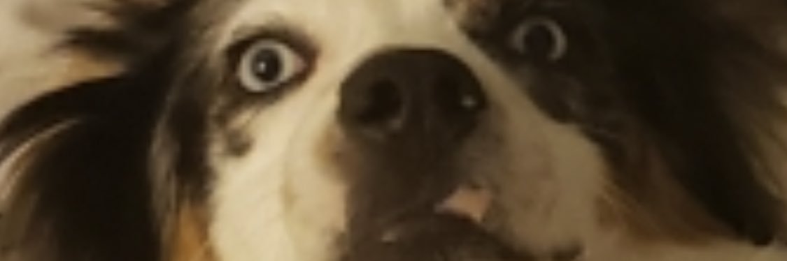 NussJack's profile banner image