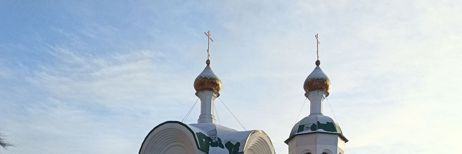 sefte banner