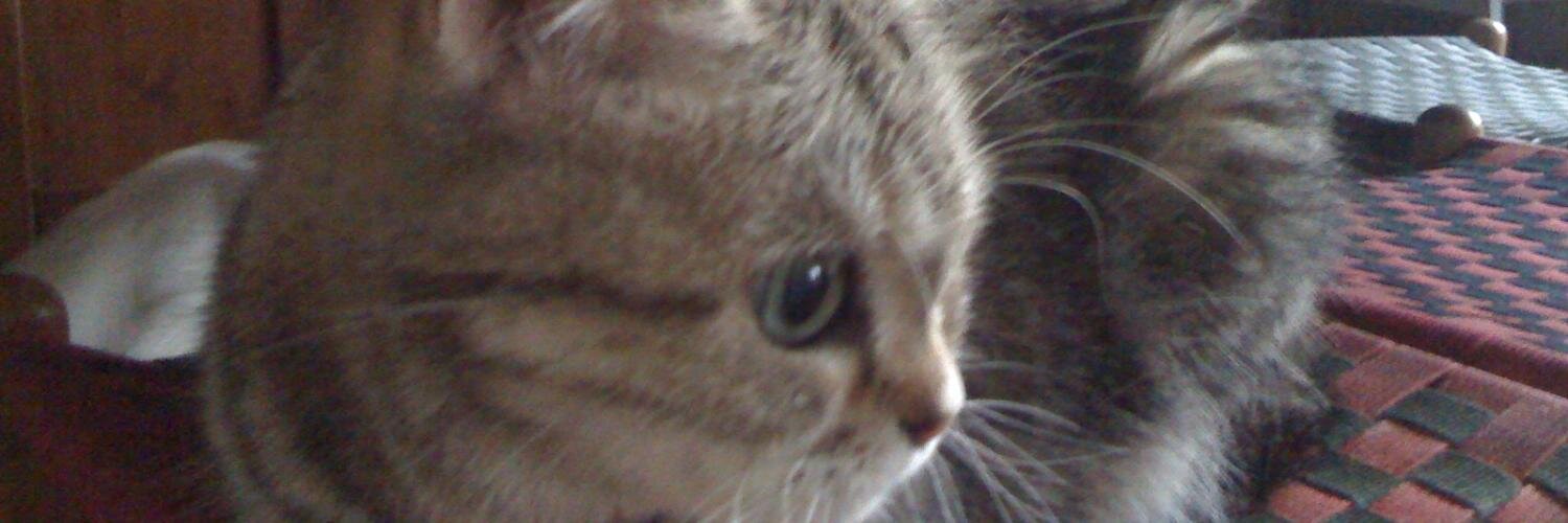 inayuta's profile banner image