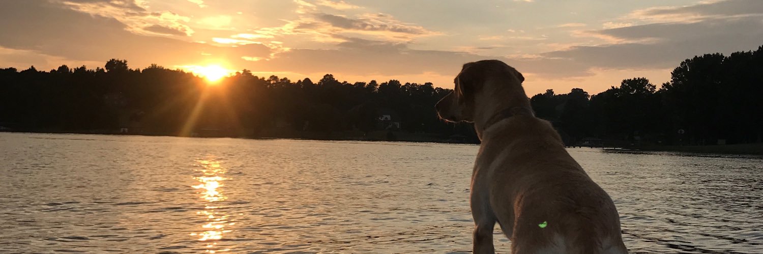AustinRontread's profile banner image