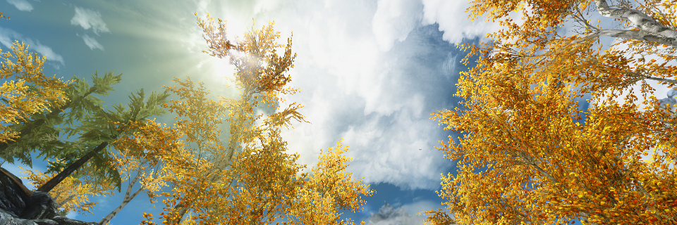 mocle13's profile banner image