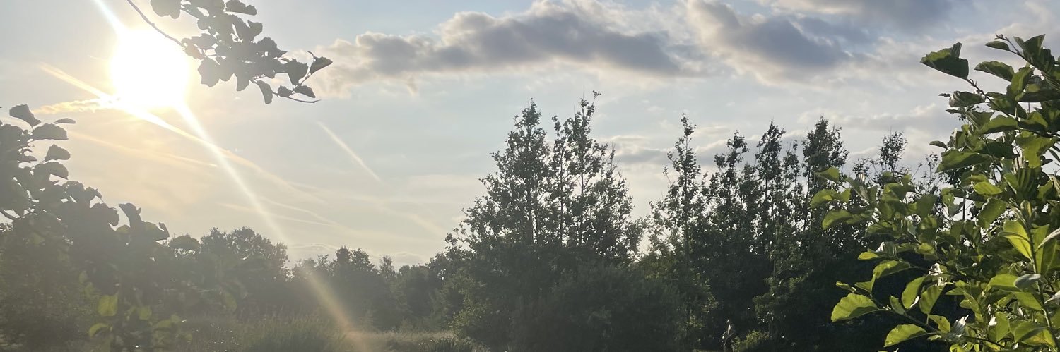 TimaraWilliamss's profile banner image
