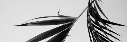 NoonyAlansari's profile banner image