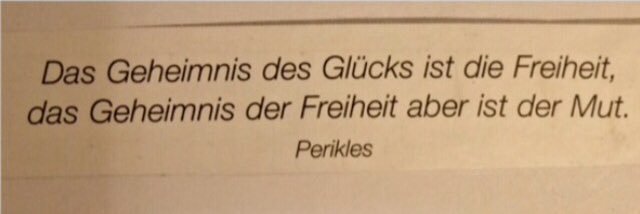 🏳🕊⏳Matrifokalitätin die Erste🤾‍♀️ banner