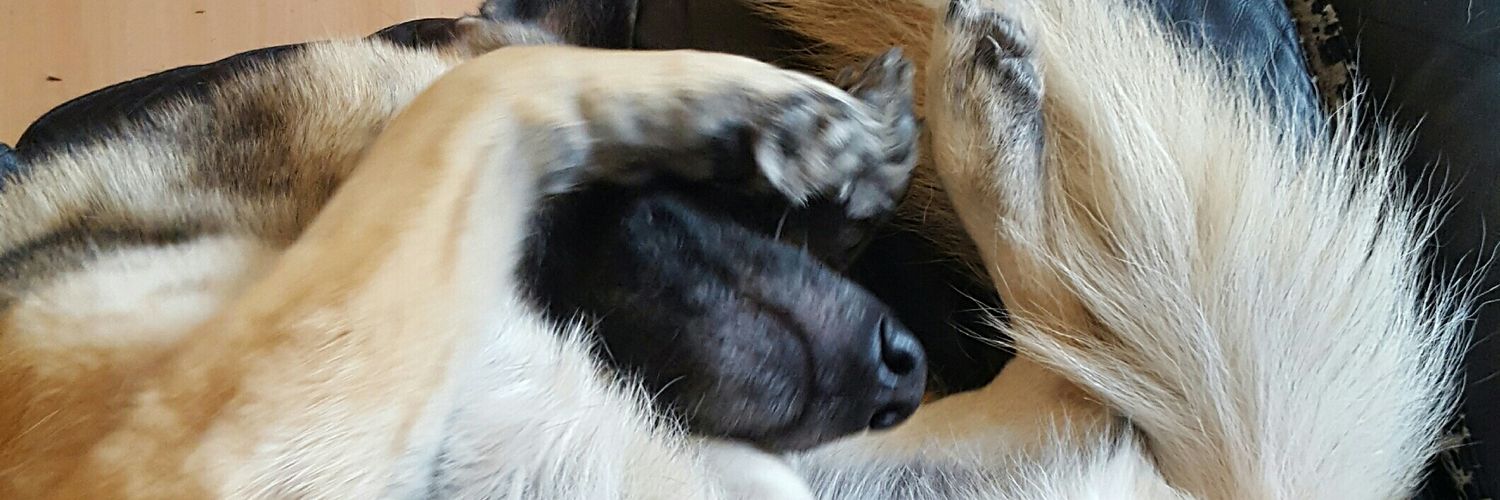 cazbarr76's profile banner image