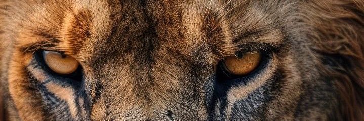 Timmyhandsome01's profile banner image