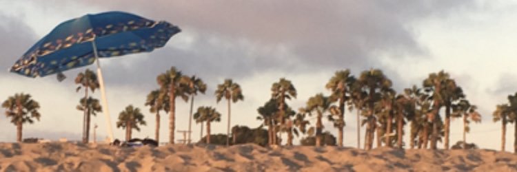 Dr_Mans's profile banner image