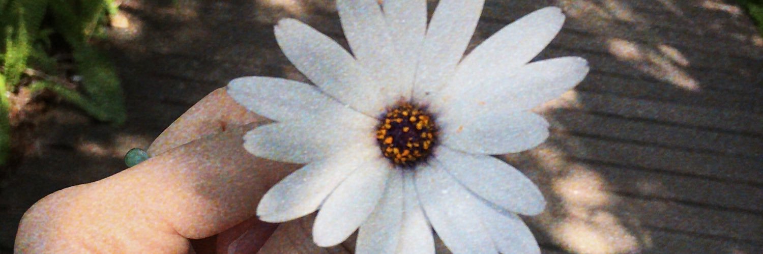 florecsm's profile banner image