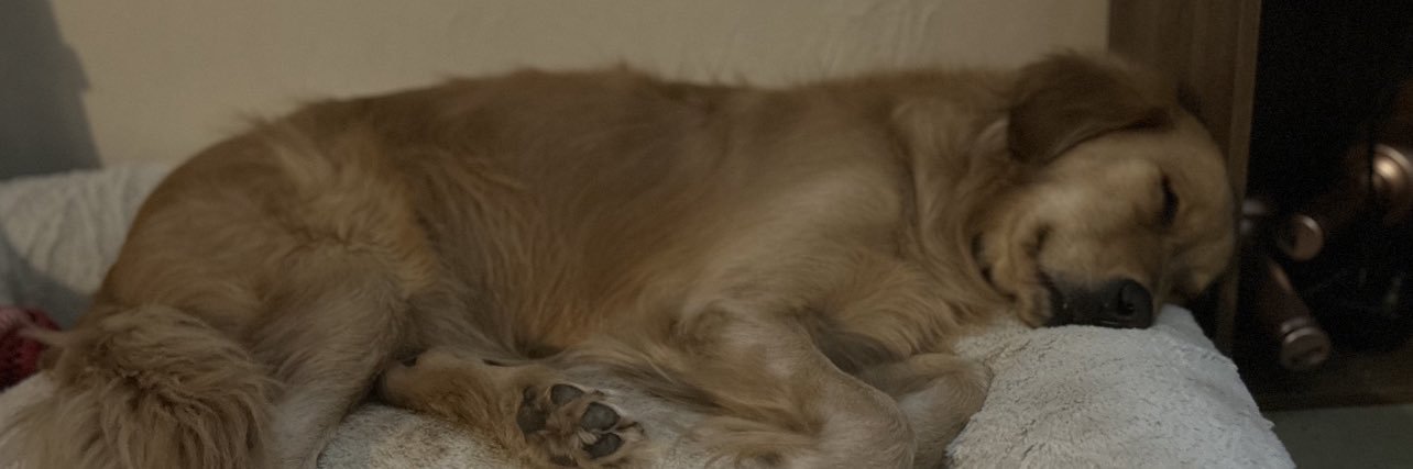 NatalieSpain1's profile banner image