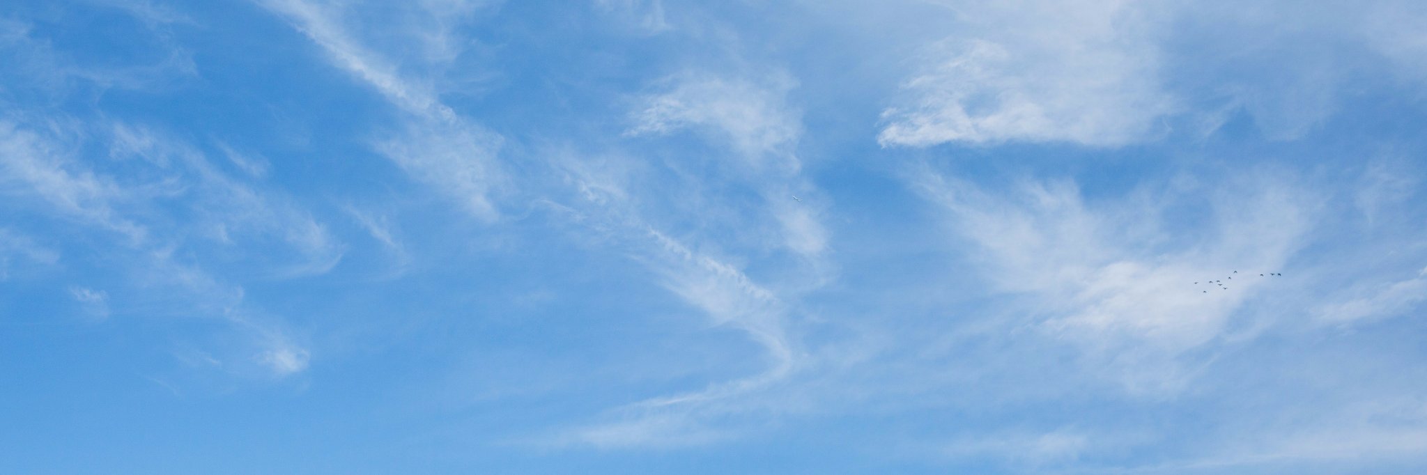 dannyheidtke's profile banner image