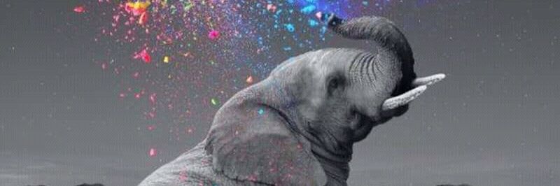 freddcaw95's profile banner image