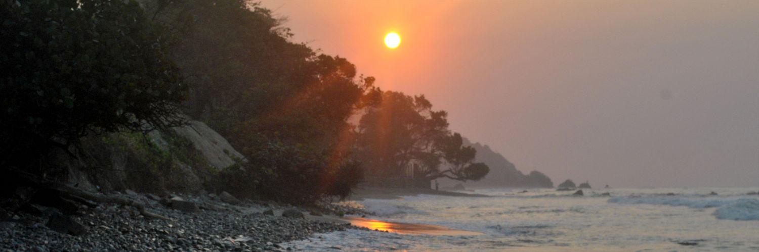 doublecoronado's profile banner image