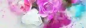 Shherbet's profile banner image