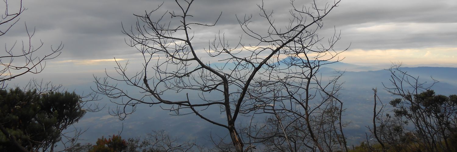 davidsavutro's profile banner image