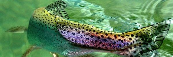 curiously_g's profile banner image