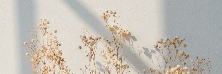 andreacanet's profile banner image