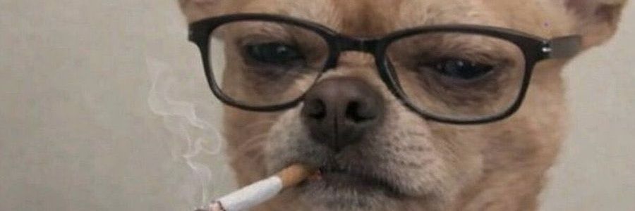 RussellDSimmons's profile banner image