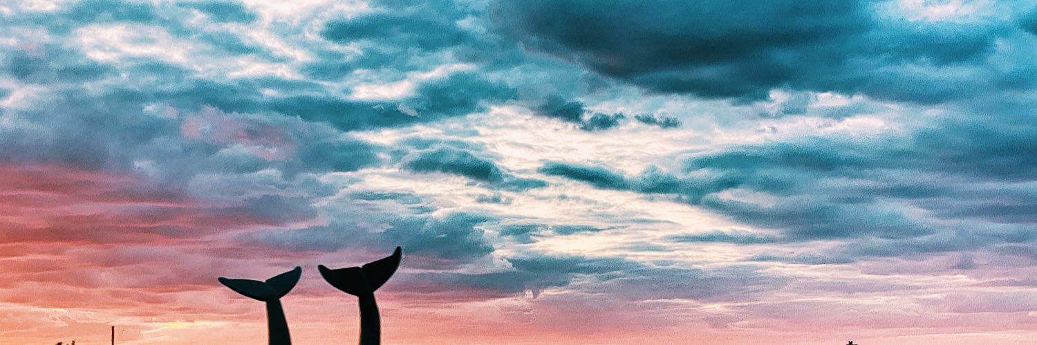 ChelseaBooska's profile banner image