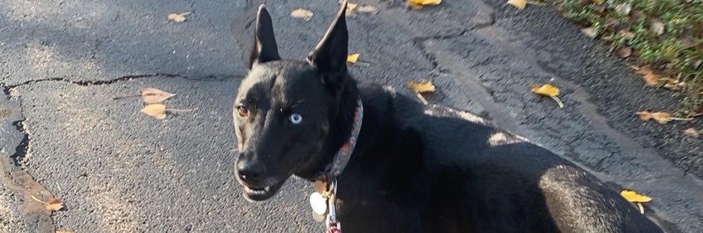 ecrowleyy's profile banner image