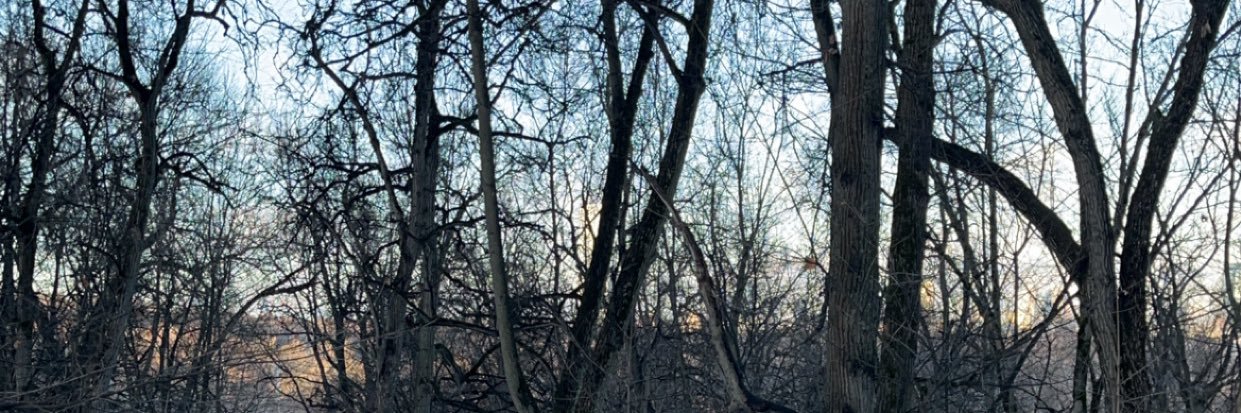 nb96__'s profile banner image