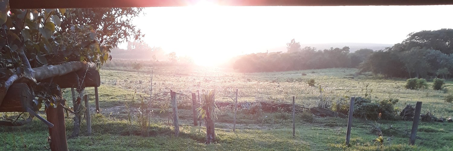 neyguapo's profile banner image