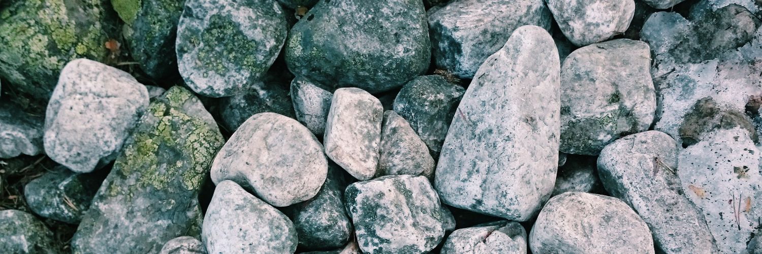 annaenbuske's profile banner image