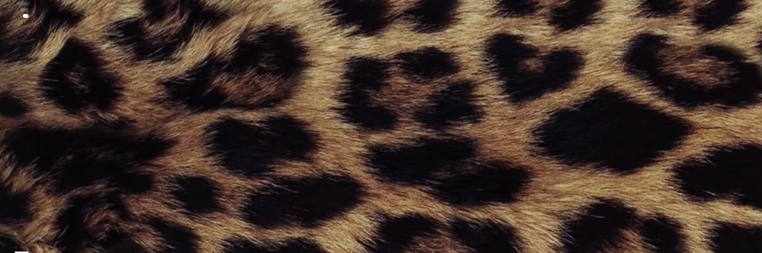 ALICIAX__'s profile banner image