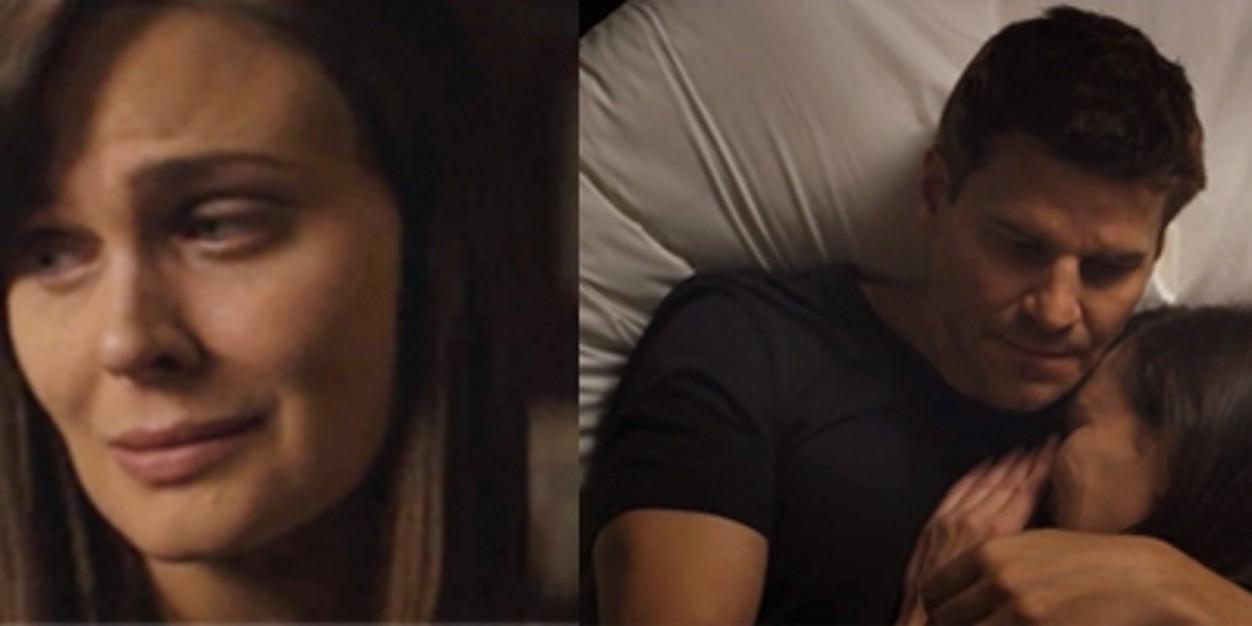 abbie_bax's profile banner image