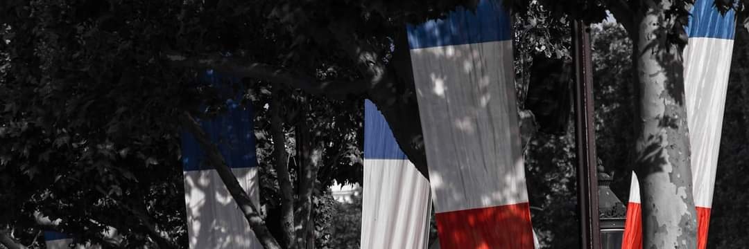 Maximilien Schnel banner