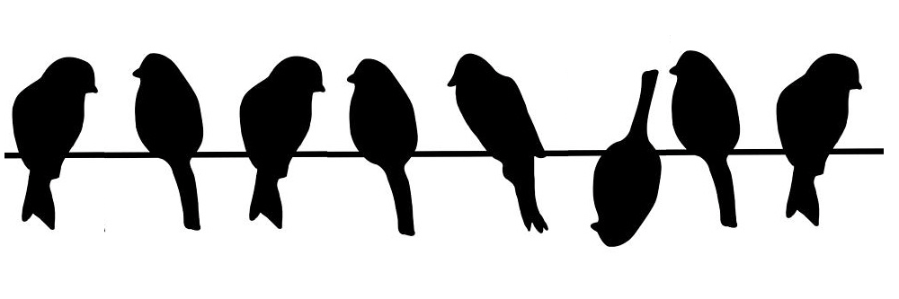 Stefan Ottenheijm banner