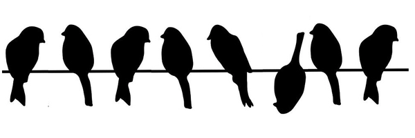 stefanottenh Profile Banner